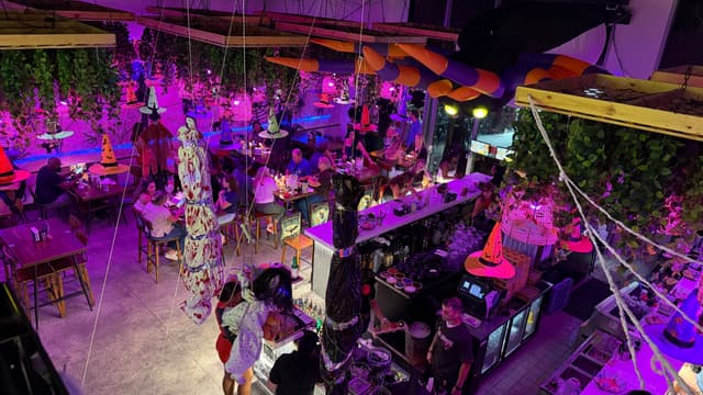 Nueva Cantina, Tampa Bay